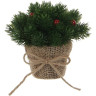 Букет в горшке с ягодами HOUSE OF SEASONS 14*12 см зеленый 83070